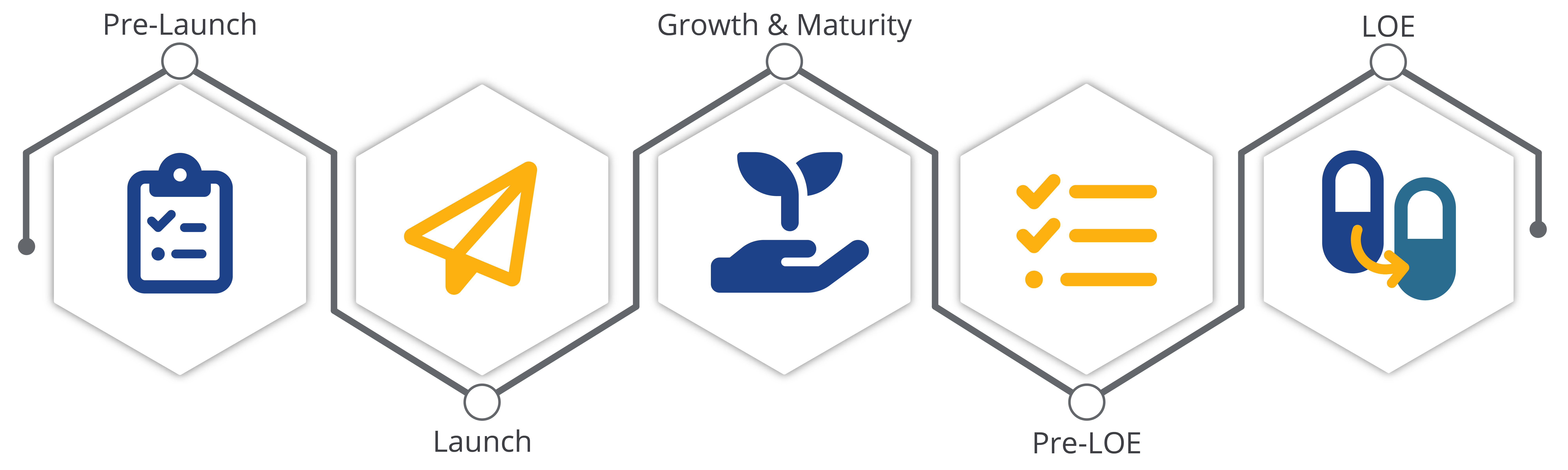 Pharma Partners Graphic